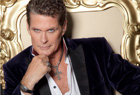 David Hasselhoff David Hasselhoff