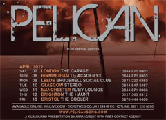 pelican-new pelican-new