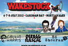 wakestock_artist