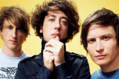wombats-240